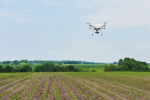 Rolnictwo 4.0 – jak nowe technologie zmieniają strategie marketingowe?