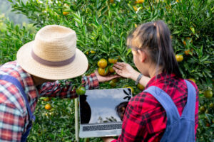 Czy GEO ma szansę zmienić marketing w agrobiznesie?